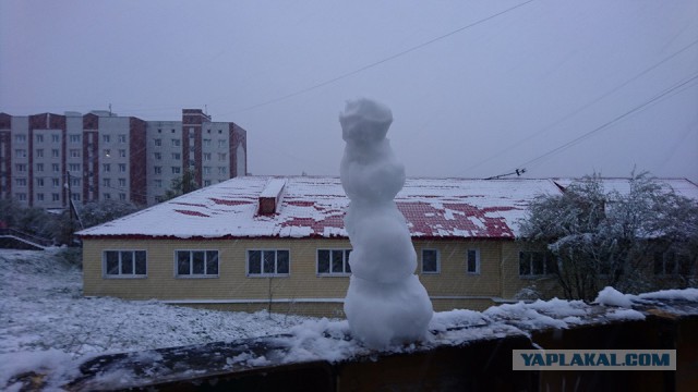 За что я люблю лето в Мурманске