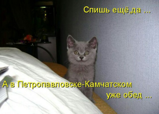 Подборка разного из сети