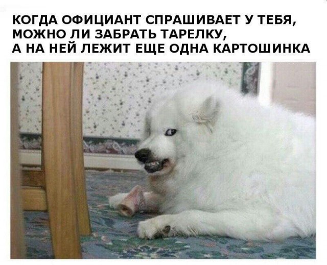 Чуть-чуть нестандартный юмор