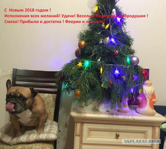 Ну, понеслась! Поздравления с Новым Годом по всей географии ЯПлакалъ!