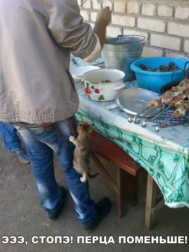 Нестандартный юмор