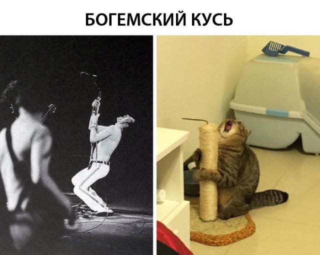Нестандартный юмор
