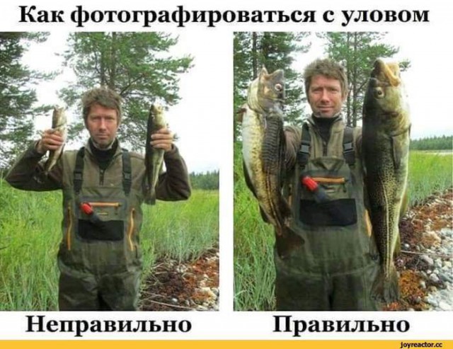 Вот такие вот крысы удивительных размеров водятся в московском метро