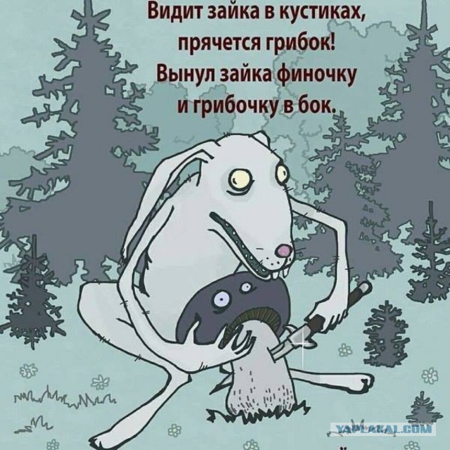 Картинки с текстом