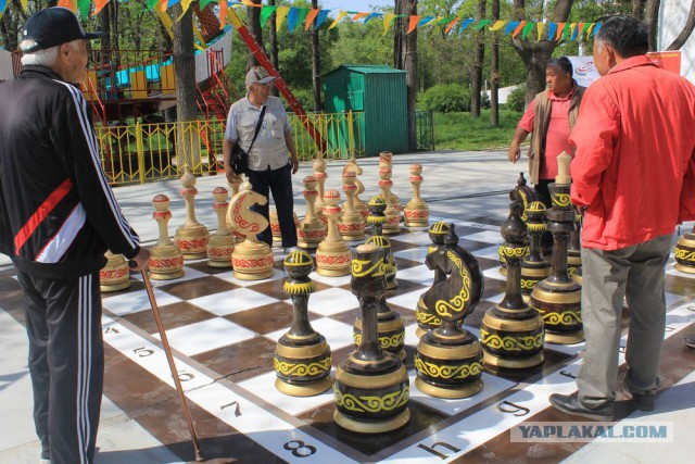 Шахматная партия с ФСБ закончена победой ФСБ