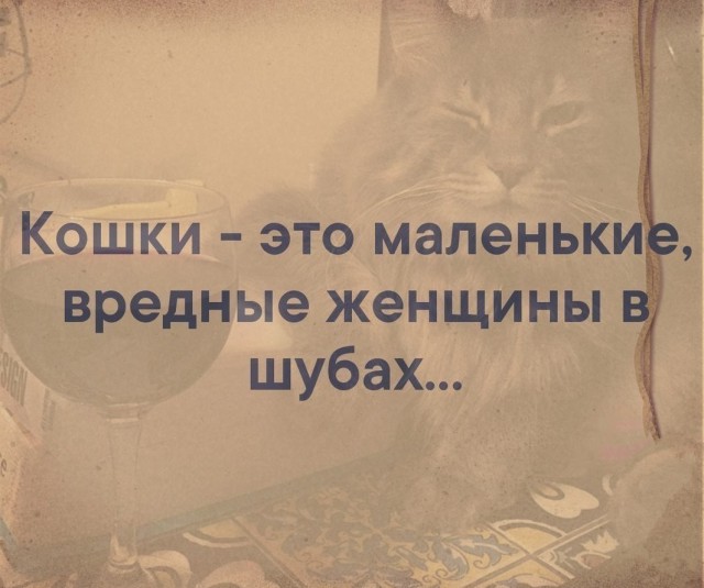 Картинки с надписями, истории и анекдоты