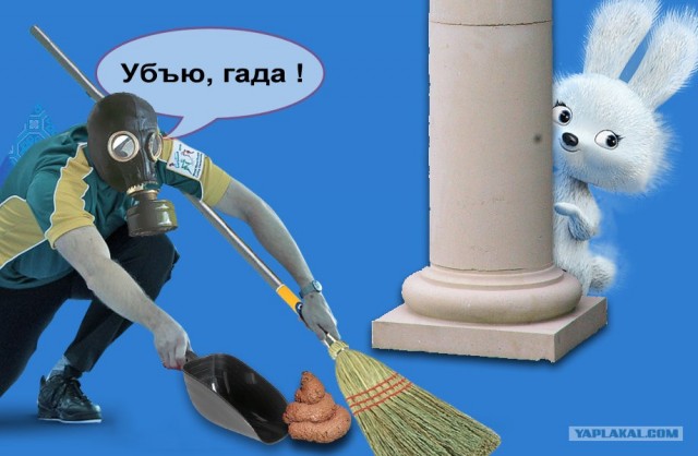 Фотожабы атакуют Сочи!