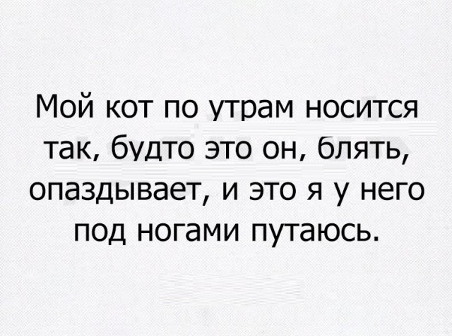 Древние мемы с ВК. Для тех кто забыл #7