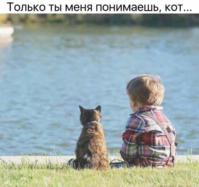 Чу! Чей стон раздаётся? Ах да, это бабье стенает об наличии отсутствия "настоящих мущщин"