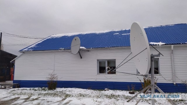 Американцы начинают делиться впечатлениями от использования Starlink