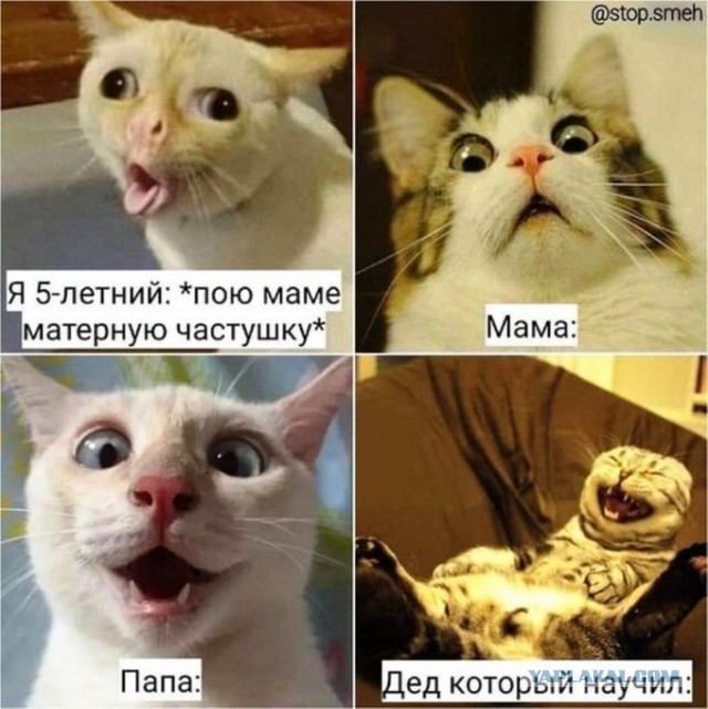 Картинки с надписями и всякие жизненные фразы 23.1.21
