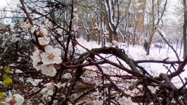 Жизнь городских окраин