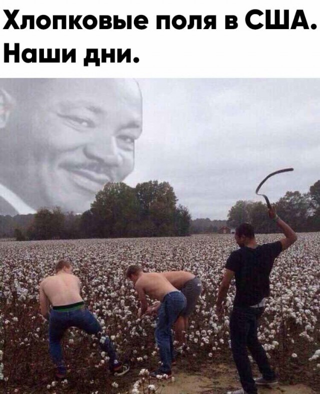 Картинки и мемы для настроения