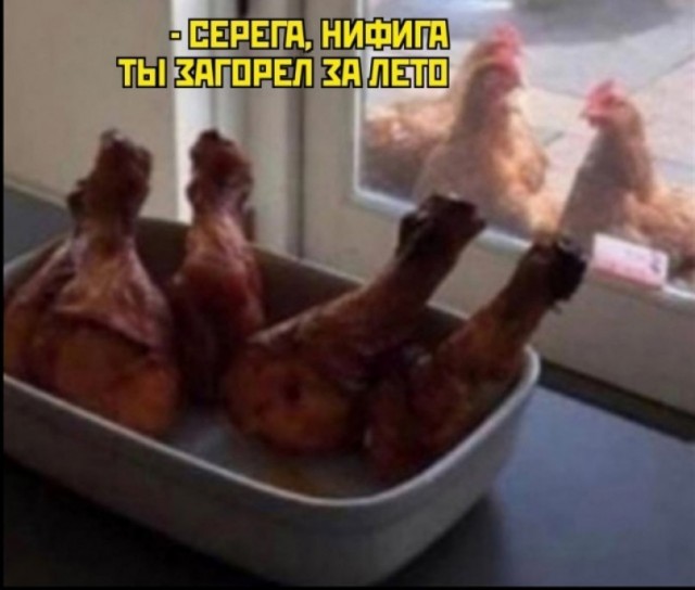 Весёлый полтишок 07.09