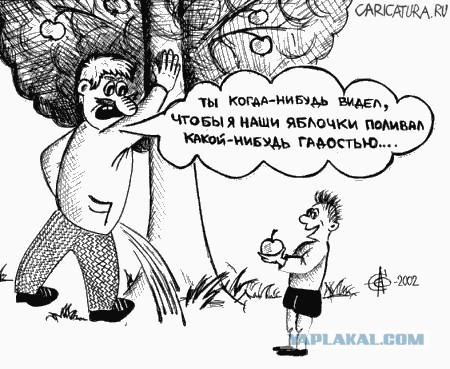 Картофельная запеканка