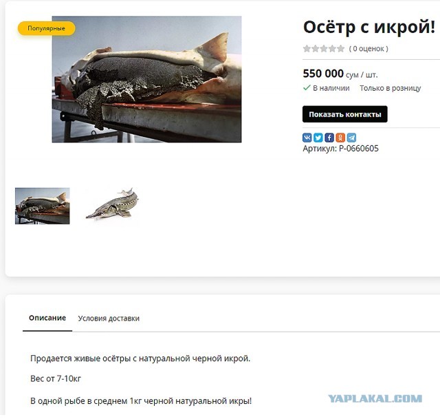 Кулинарная общалка