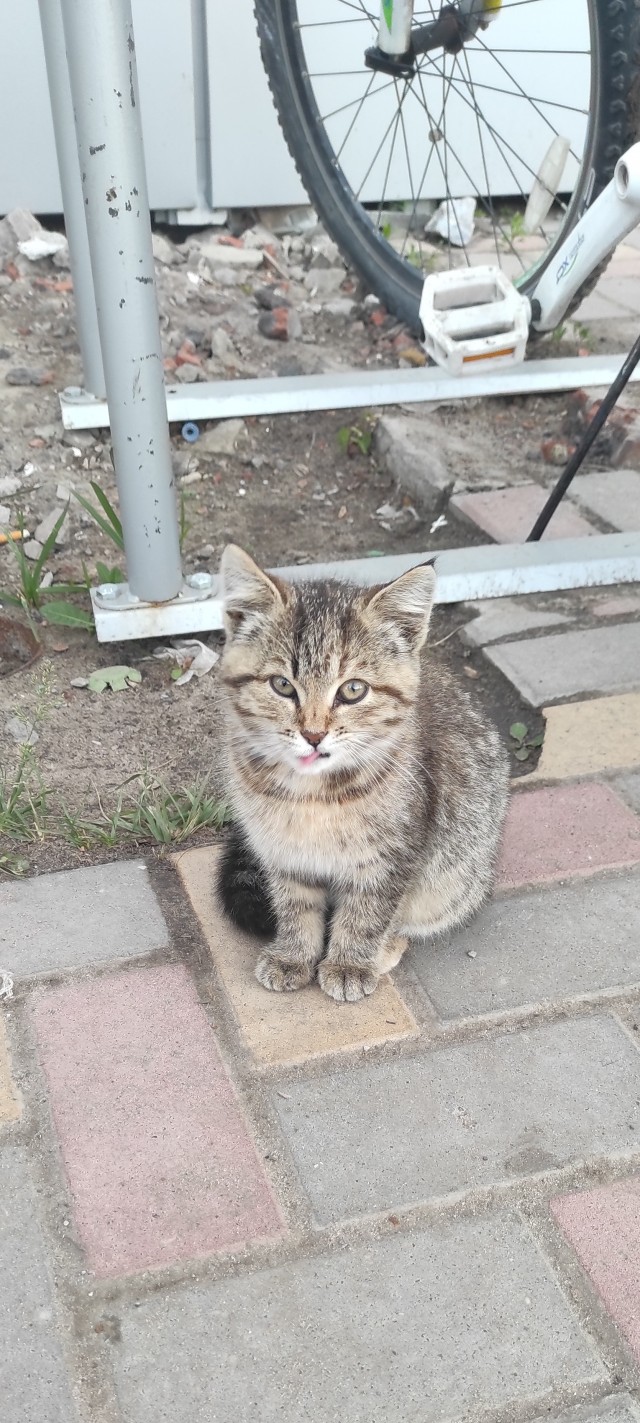 Чудо из под Пятерочки