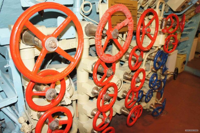 Экспедиция Тамбов-Карелия (бесов нос).