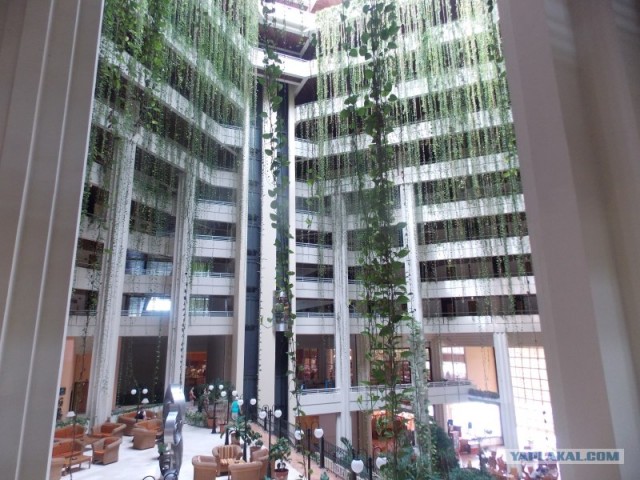 Моя поездка на Кубу