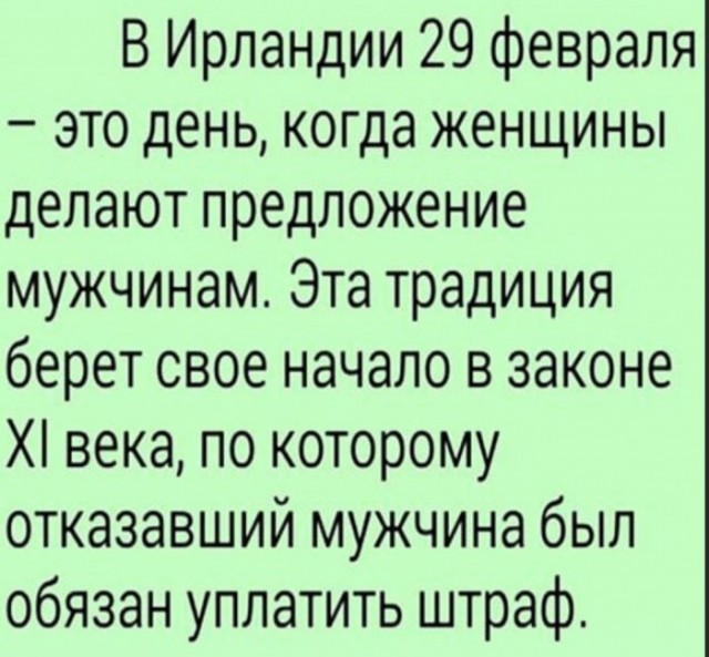 Весёлый полтишок 08.11.22