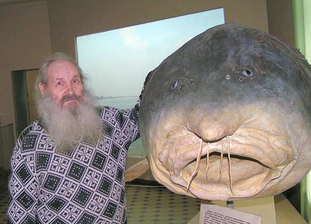 Грустная рыба даст фору грустному коту