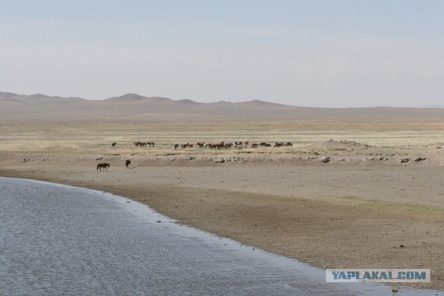 В Монголию на мотоциклах 2006