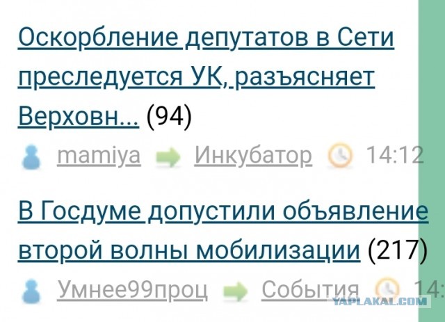 Оскорбление депутатов в Сети преследуется УК, разъясняет Верховный суд РФ