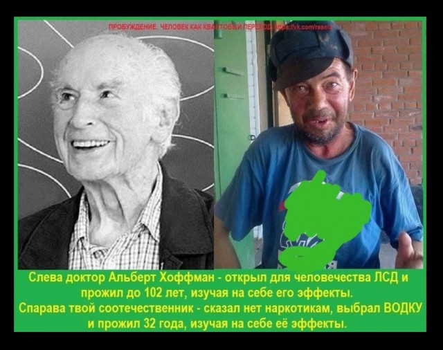 Наблюдение