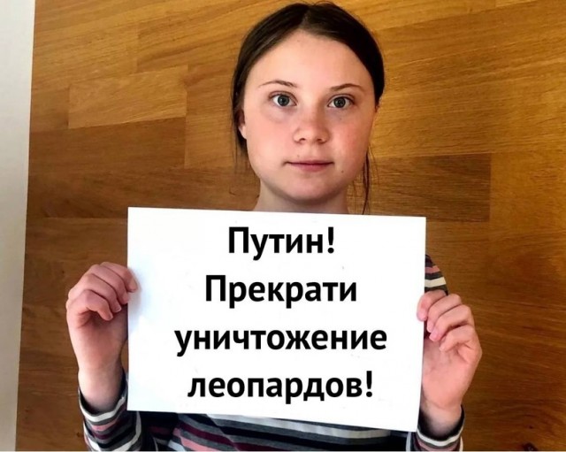 Видео уничтоженных Леопарда и Бредли