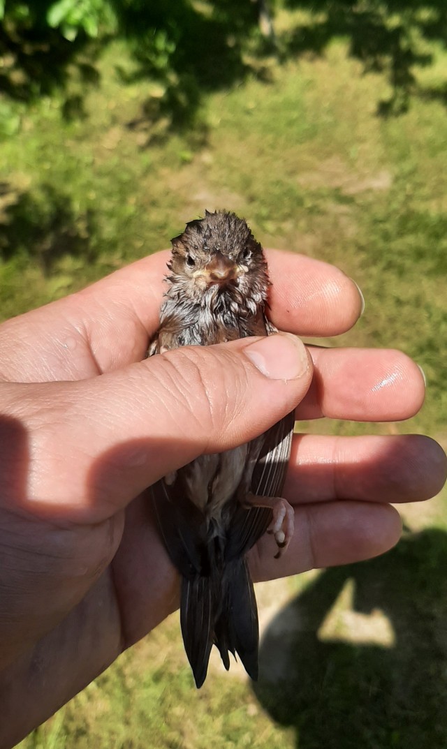 Делай добро и не кидай его в воду