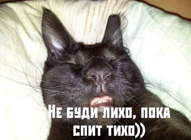 Картинки. В них буквы. Иногда в черной рамке. НЕ эпитафии