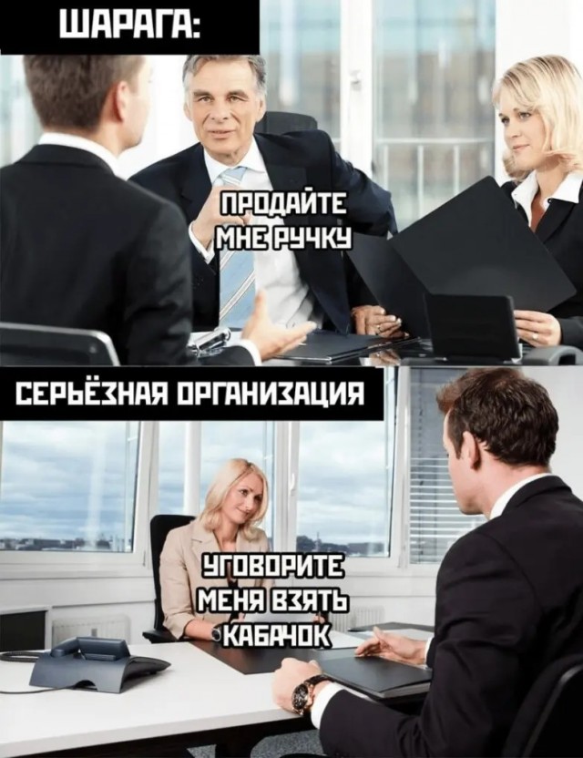Страдания по кабачкам