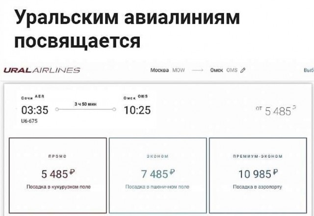 Весёлый полтишок 15.09.23