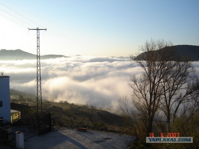 Красивые фото ЯПа