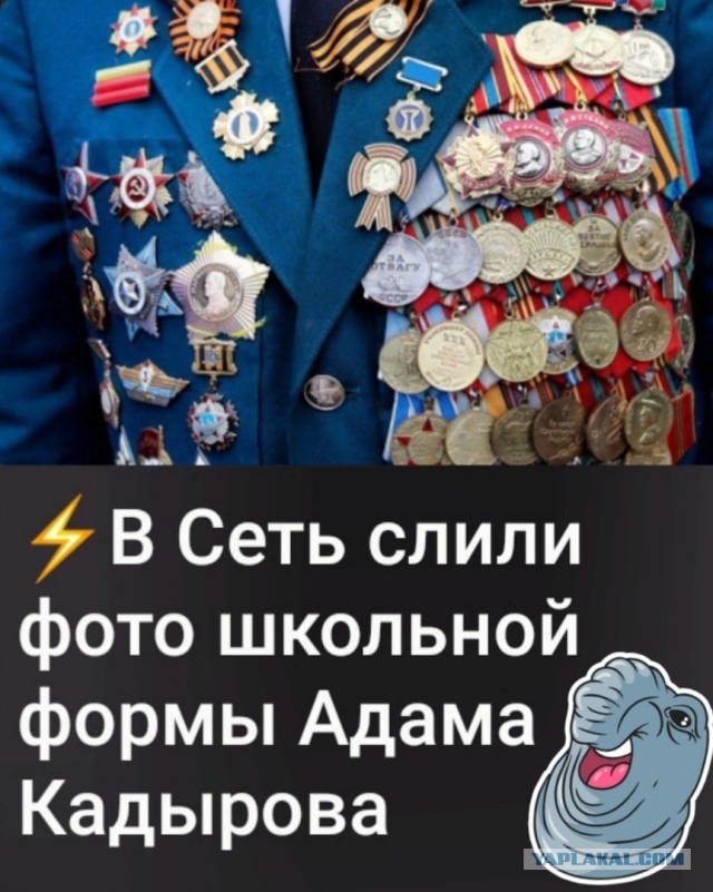 Сына Кадырова наградили орденом "За служение религии Ислам".