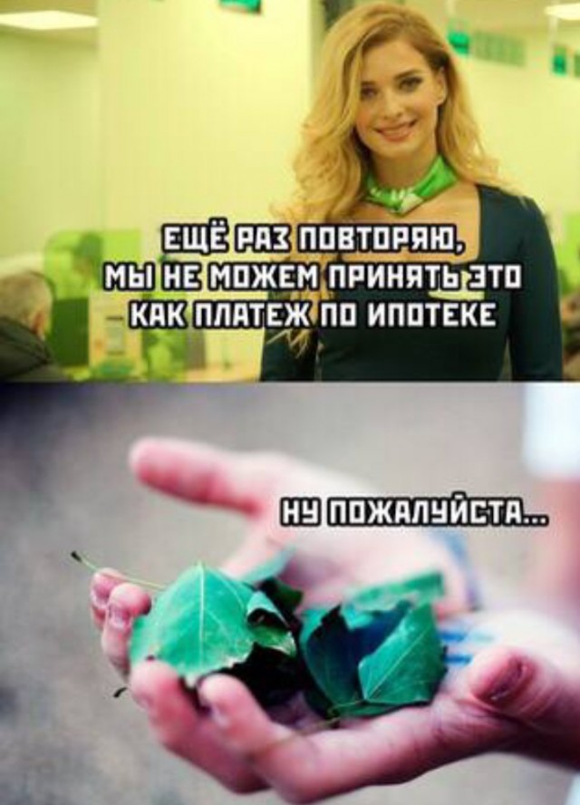 Всего понемногу. Оо 22.02.24