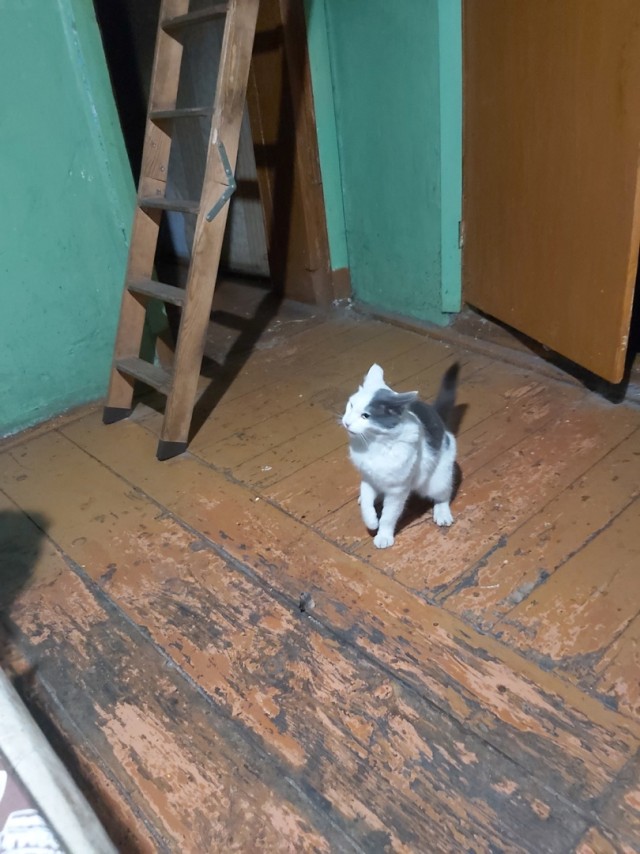 Сборник рассказов ЯПовских авторов. Обсуждение проблемы.