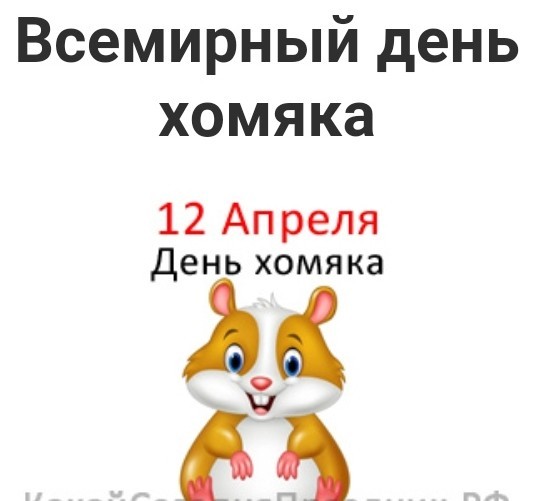 День хомяка 12 апреля картинки. Всемирный день хомяка. Открытка 12 апреля день хомячка. День хомяка праздник Всемирный.