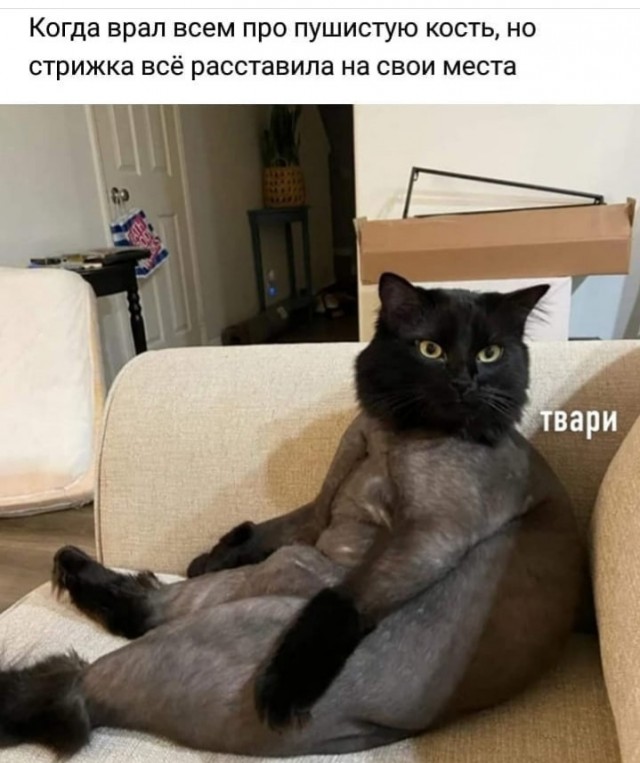 Так себе картинки 02.12.24