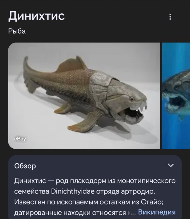 Ученые растопили 46 000-летний лед — и из него выбрался живой давно мертвый червь