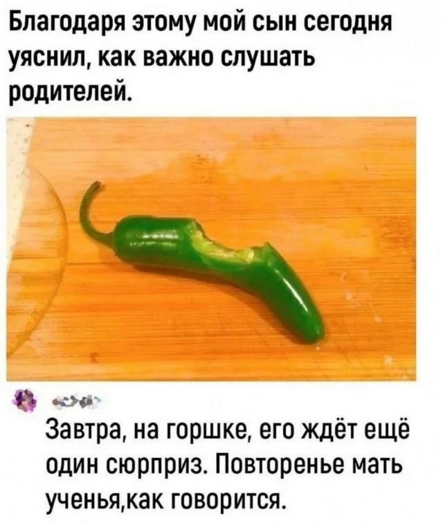 19913727.jpg