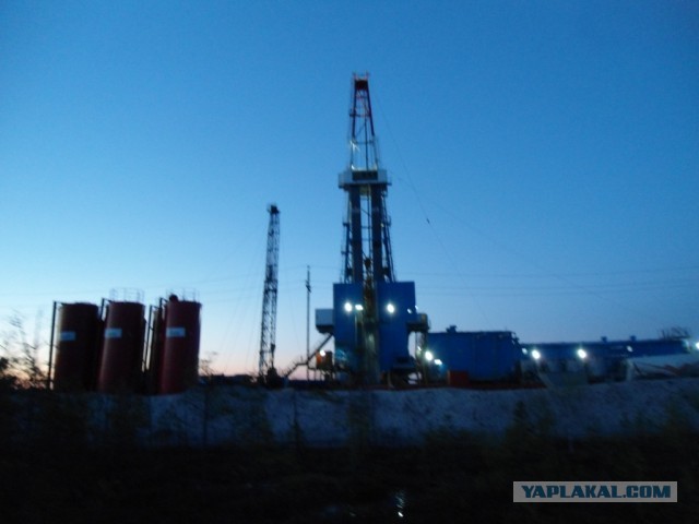 Красота! Лето на Ямале. Фото