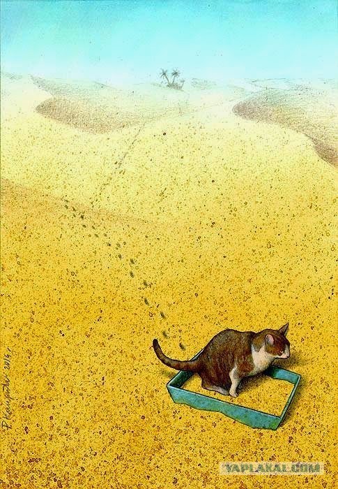 К котовторнику: подборка картинок-баянов с котиками и про котиков. Выпуск 14