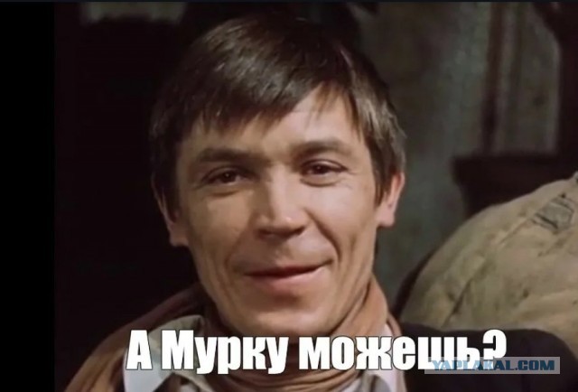 Ты со мною забудь обо всем