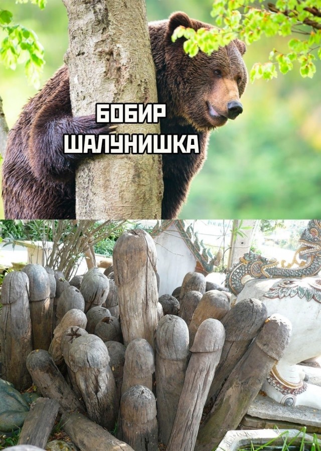 Так себе картинки 14.11.25