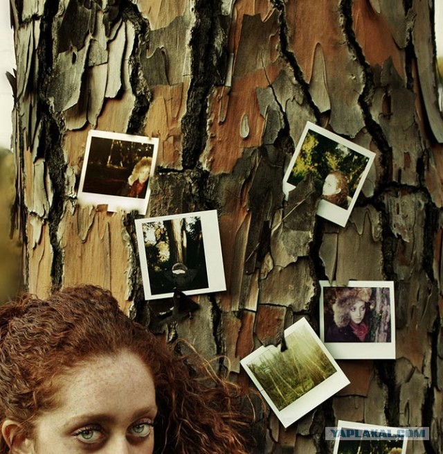 Факты о Polaroid