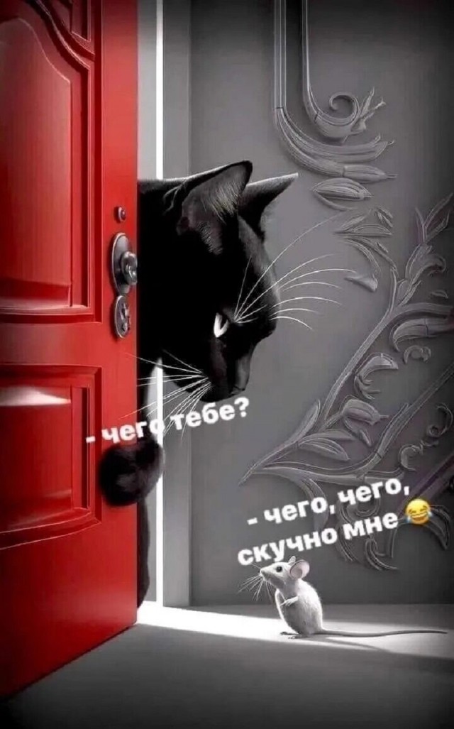 Так себе картинки 13.12.25