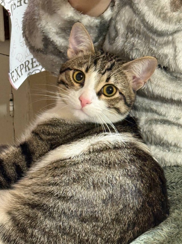 Лёлик, первый день Нового года.