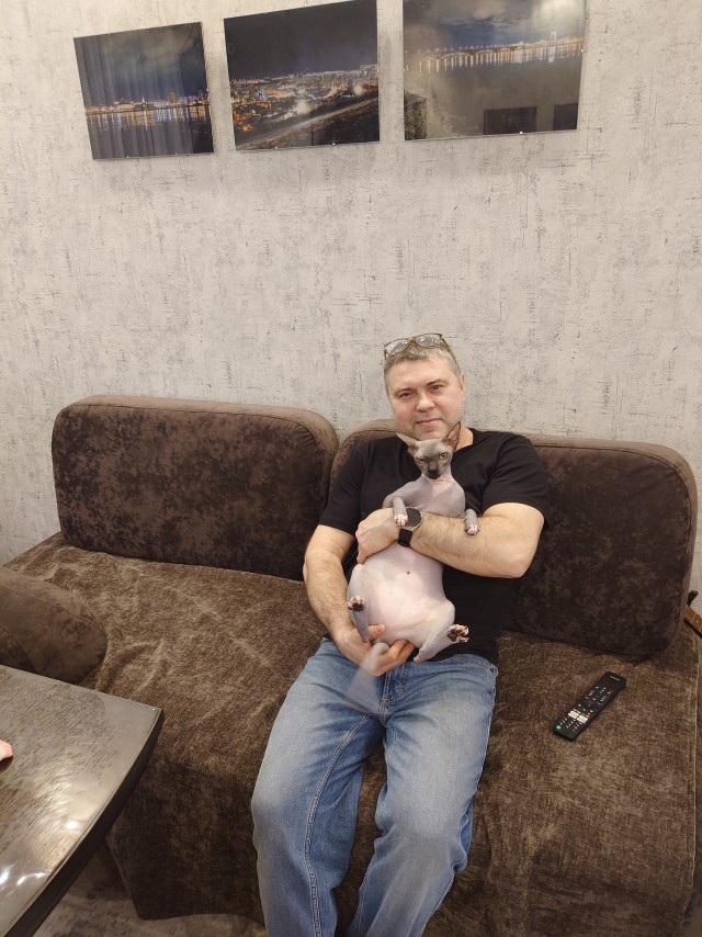 В защиту кошек породы Сфинкс канадский...