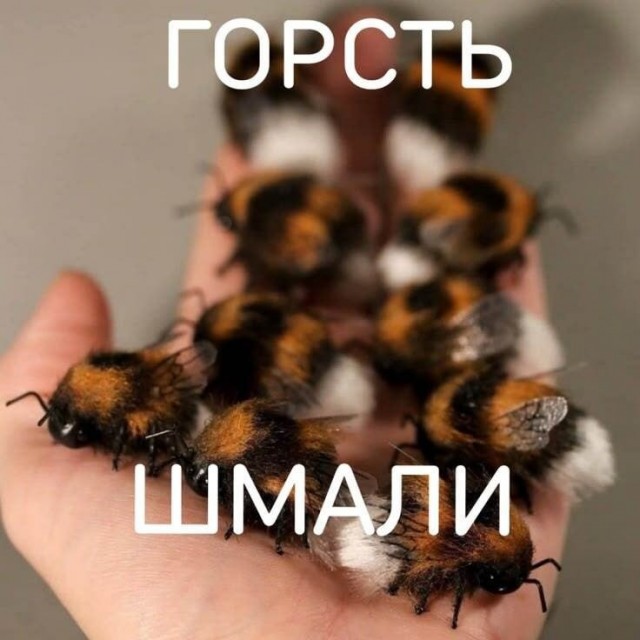 Картинки для деградации 278 (разной степени свежести)